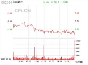 華峰氨綸（股票代碼 002064）的發(fā)展與展望