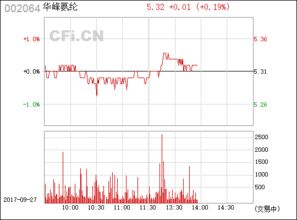 華峰氨綸（002064） 中國氨綸行業(yè)的領(lǐng)軍企業(yè)